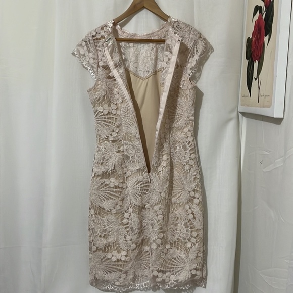 Soieblu Pink Lace Sleeveless Dress with Nude Underlay a175 - Picture 5 of 7